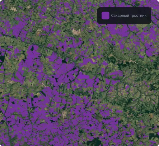 Маска сахарного тростника на основе двунаправленных рекуррентных нейронных сетей на основе LSTM