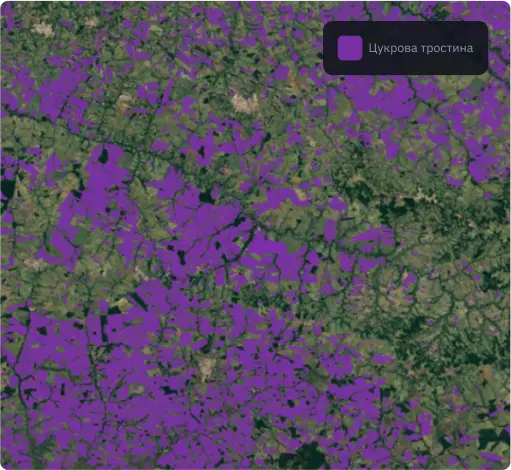 Маска цукрової тростини на основі двонаправлених рекурентних нейронних мереж на основі LSTM