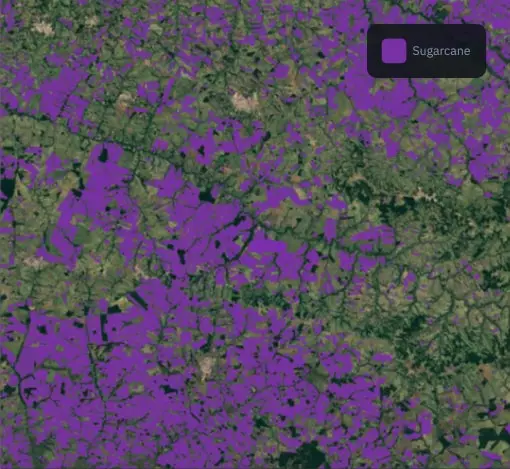 The sugarcane mask based on bidirectional recurrent neural networks based on LSTM