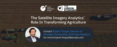 The Satellite Imagery Analytics’ Role In Transforming Agriculture