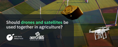 Drones And Satellites: Should They Coexist In AgriTech?