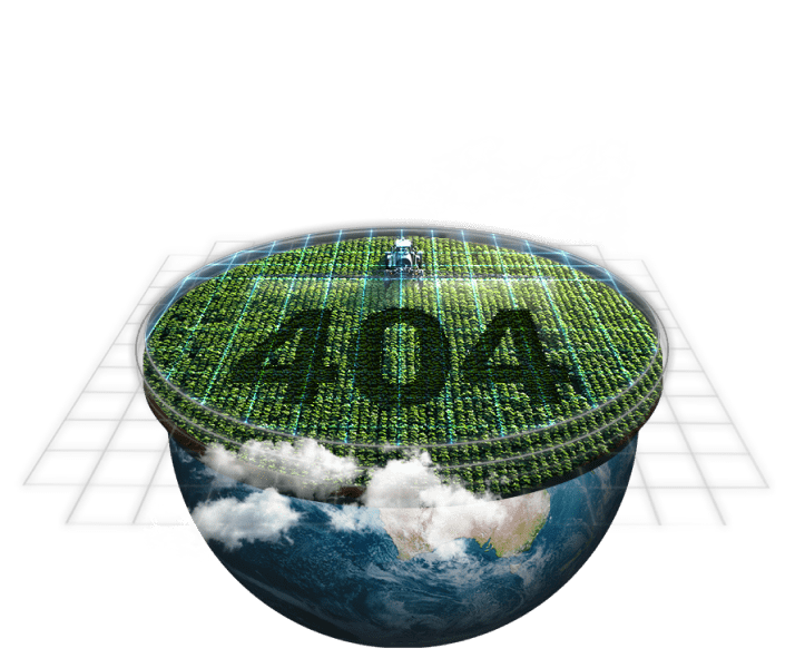 404