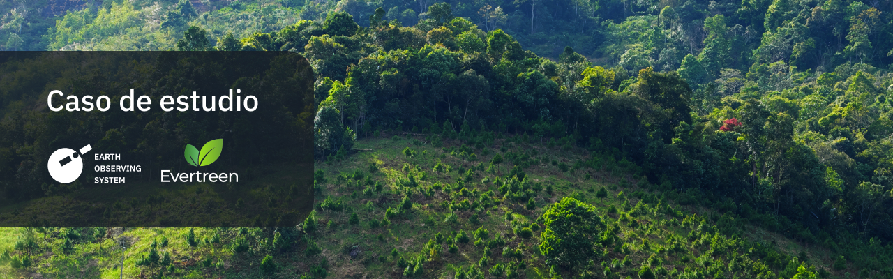 utilizando el monitoreo satelital EOSDA Crop Monitoring para rastrear la reforestación