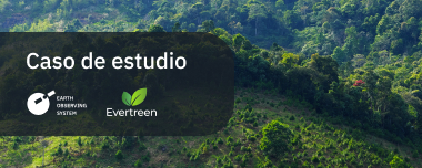 Reverdecer El Planeta: Los Satélites Y La Forestación