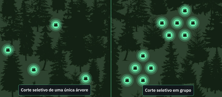 métodos de corte seletivo de árvores