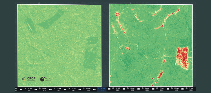 Виявлення знеліснення за допомогою NDVI