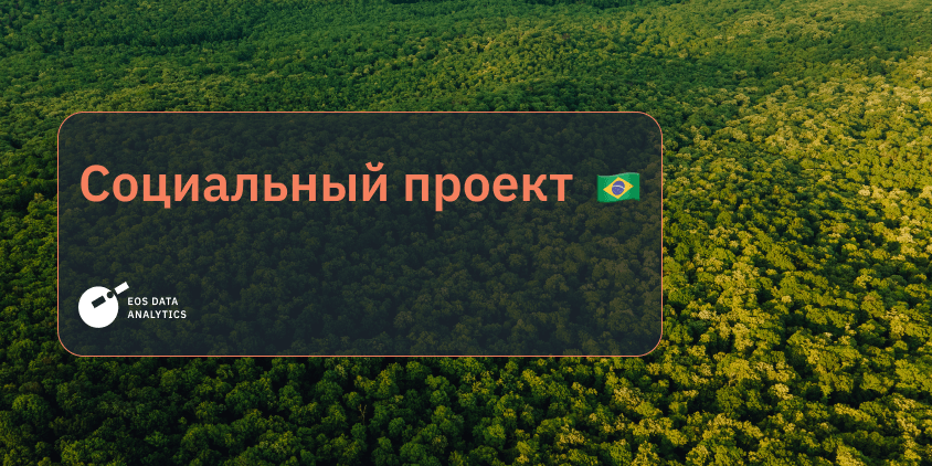 социальный проект: золотодобыча в Бразилии уничтожает местную природу