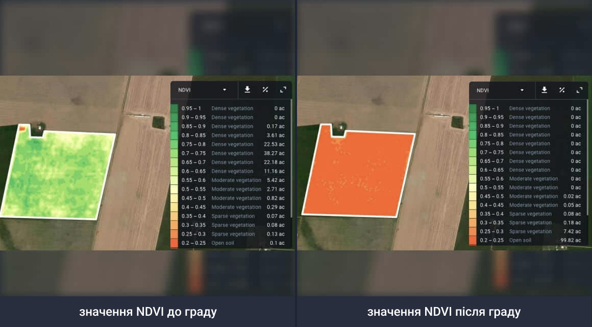 зміна індексу NDVI на полі, пошкодженого градом
