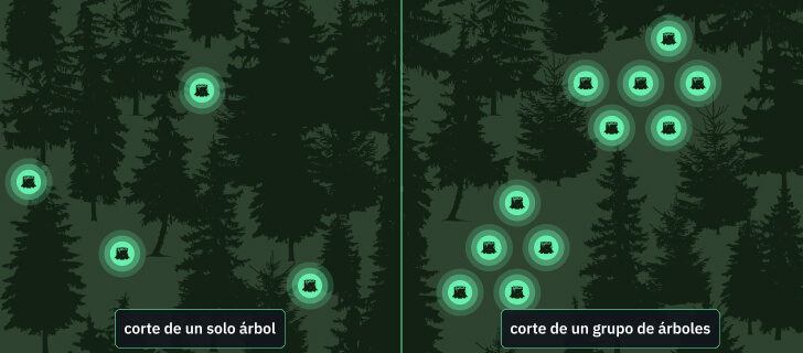 métodos de tala selectiva de árboles individuales y de grupos