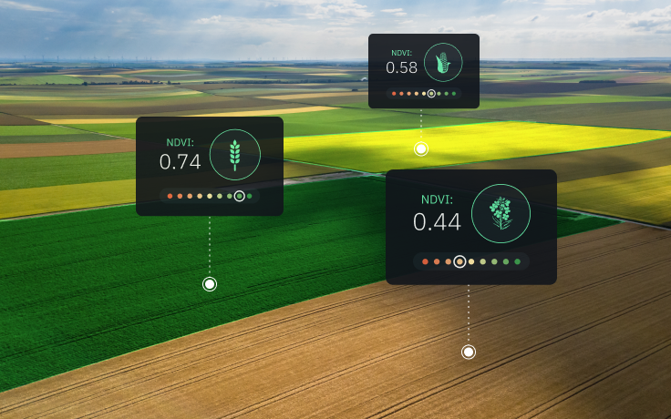 monitoramento de um índice de vegetação num campo