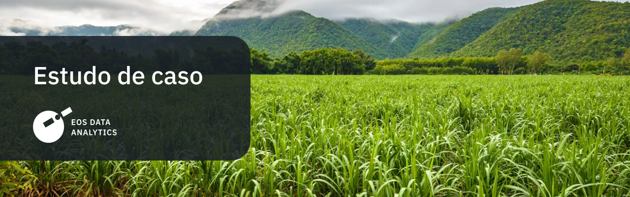 monitoramento da safra de cana-de-açúcar da empresa brasileira