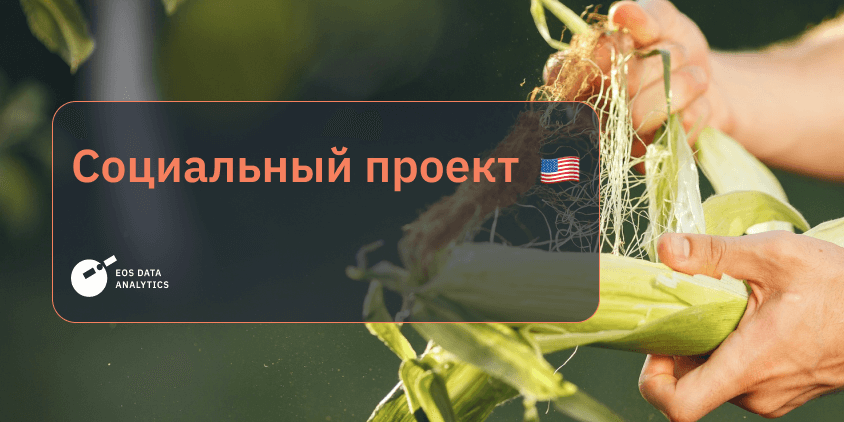 Изучение влияния продолжительных засух на опыление кукурузы