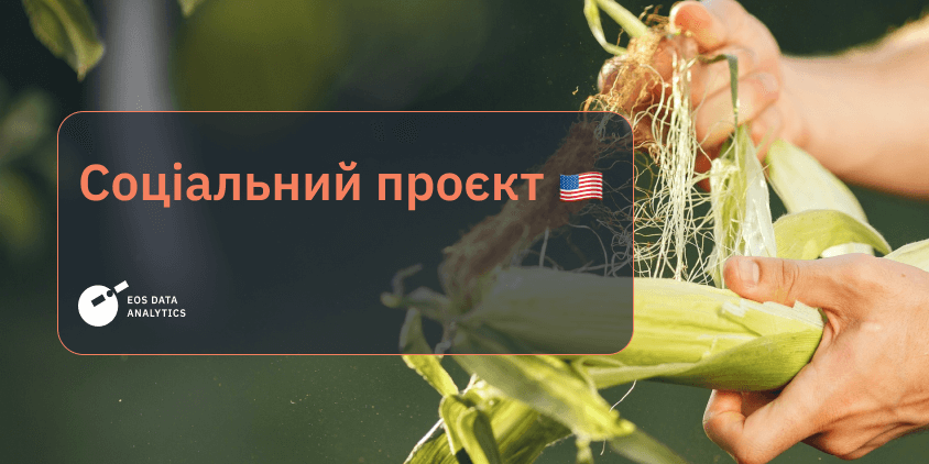 Дослідження впливу тривалих посух на запилення кукурудзи