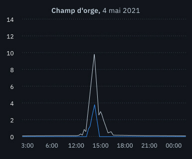 grêle dans un champ d'orge