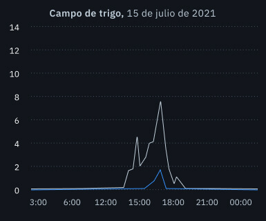 granizo en un campo de trigo