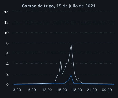 granizo en un campo de trigo
