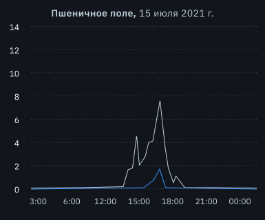 выпадение града на поле пшеницы