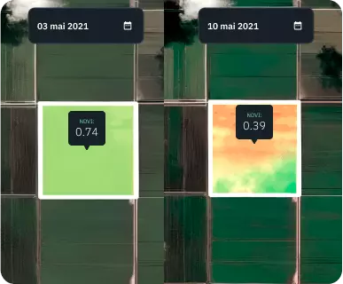 vue fractionnée du champ d'orge