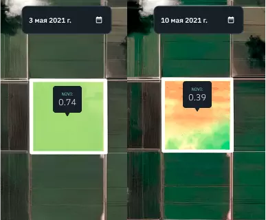 ячменное поле в режиме сравнения