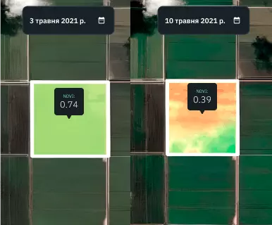 ячмінне поле в режимі порівняння