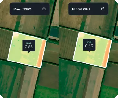 vue fractionnée du champ de maïs