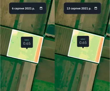 кукурудзяне поле в режимі порівняння