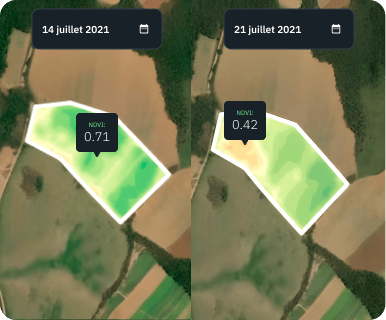 vue fractionnée du champ de blé