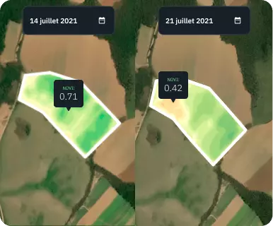 vue fractionnée du champ de blé