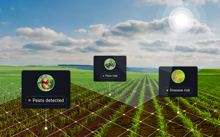 pests detected on a field with remote sensing
