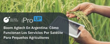 Boom Agtech En Argentina: Cómo Funcionan Los Servicios Por Satélite Para Pequeños Agricultores