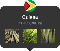 cartão de vista da cidade da Guiana