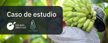 Monitorización Del Plátano Verde En Época De Lluvias