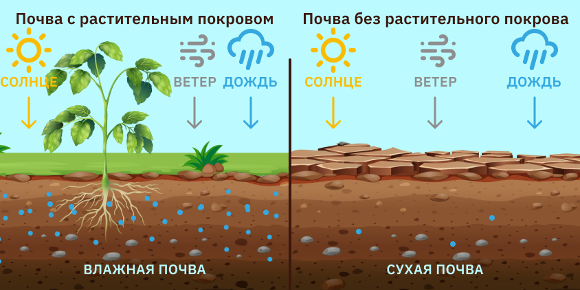 Плодородие почвы. Большая российская энциклопедия