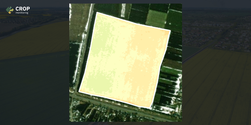NDVI шар на тестовому полі