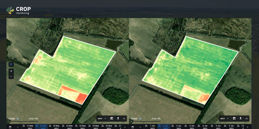 Split view no mapa de NDVI