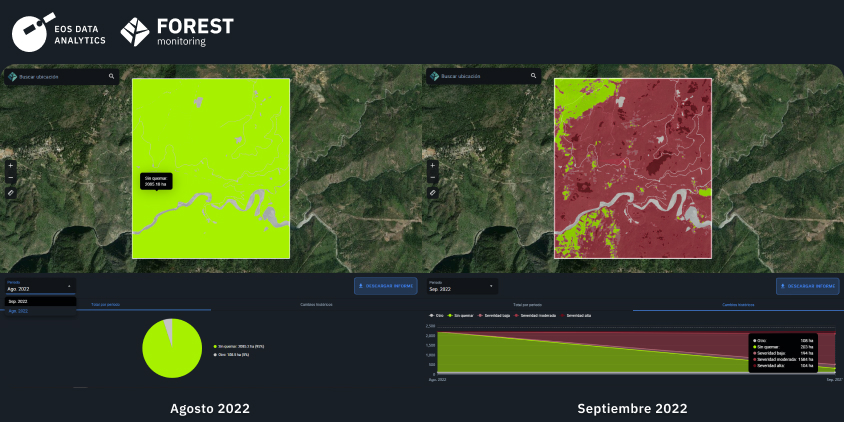 zona forestal quemada en California