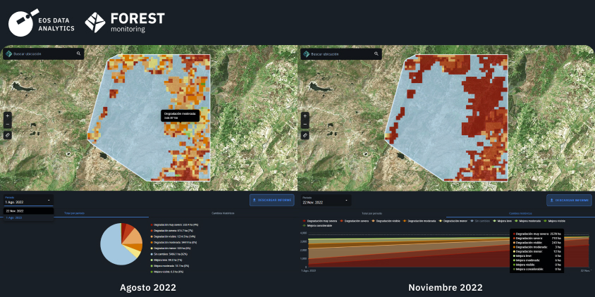 antes y después de un incendio forestal en Portugal