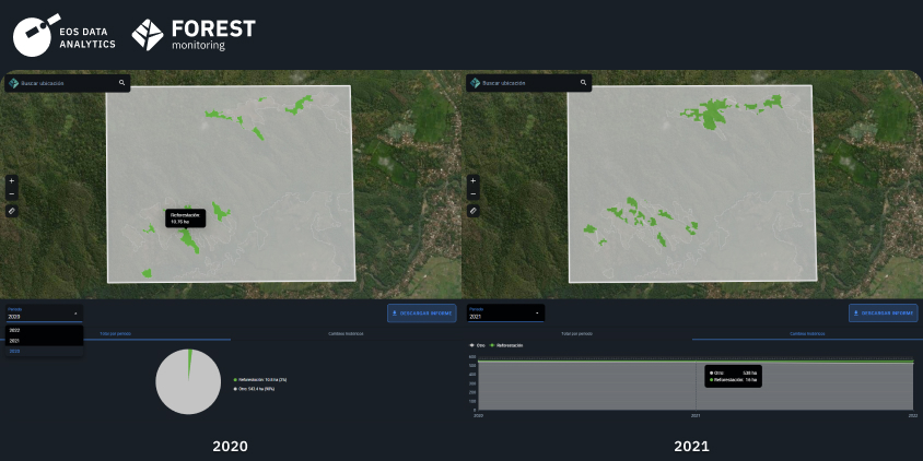 reforestación en Indonesia