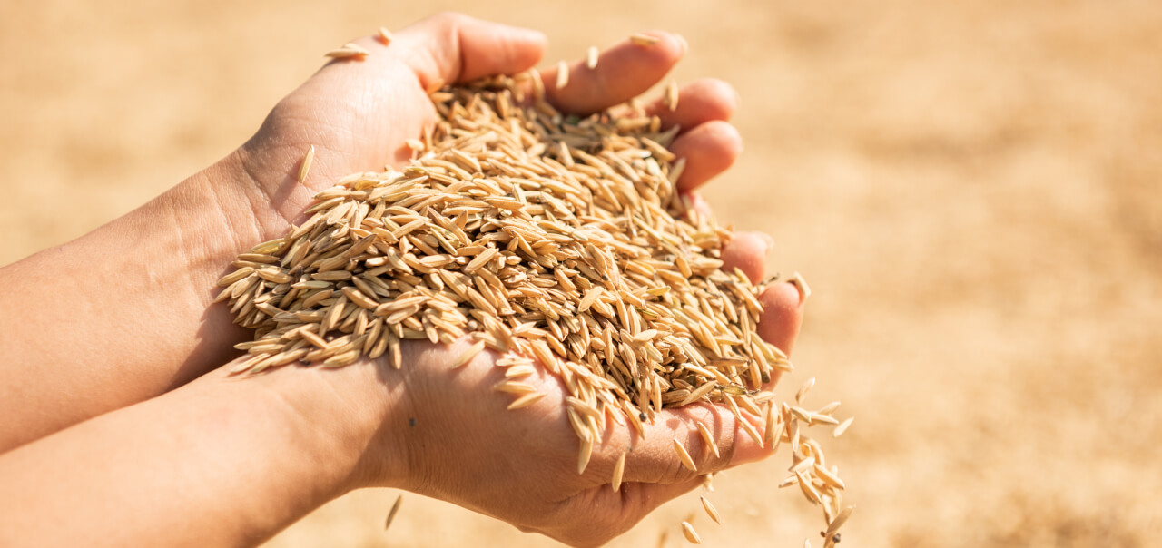Solutions D’EOSDA Crop Monitoring Pour La Coopérative Unéal