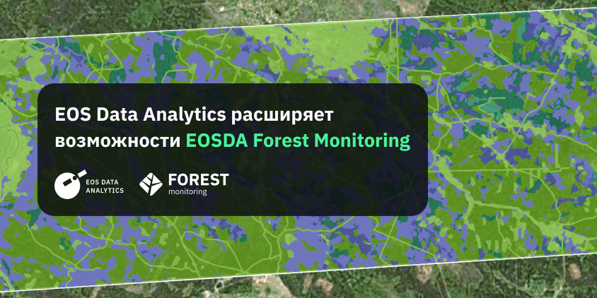 EOSDA расширяет возможности продукта Forest Monitoring
