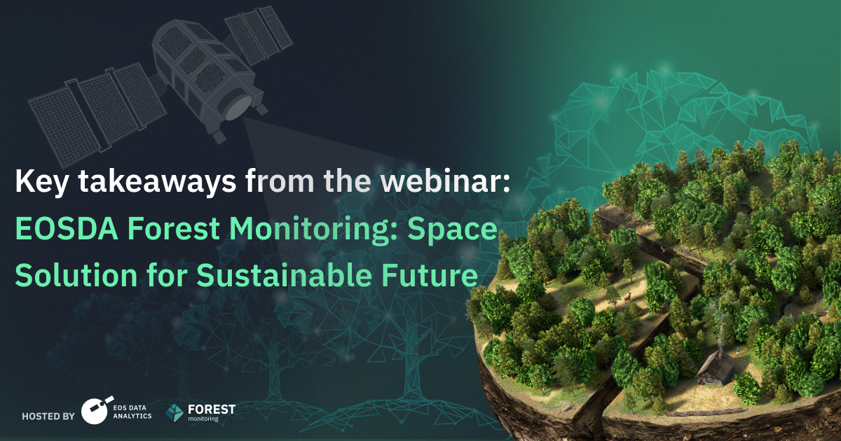 What’s New In EOSDA Forest Monitoring: Key Takeaways