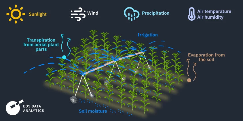 Modern Methods to Measure Evapotranspiration in Commercial Agriculture