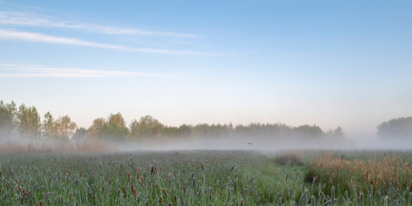 Modern Methods to Measure Evapotranspiration in Commercial Agriculture