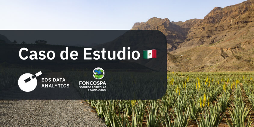 caso de estudio: FONCOSPA usa teledetección en los seguros agrícolas