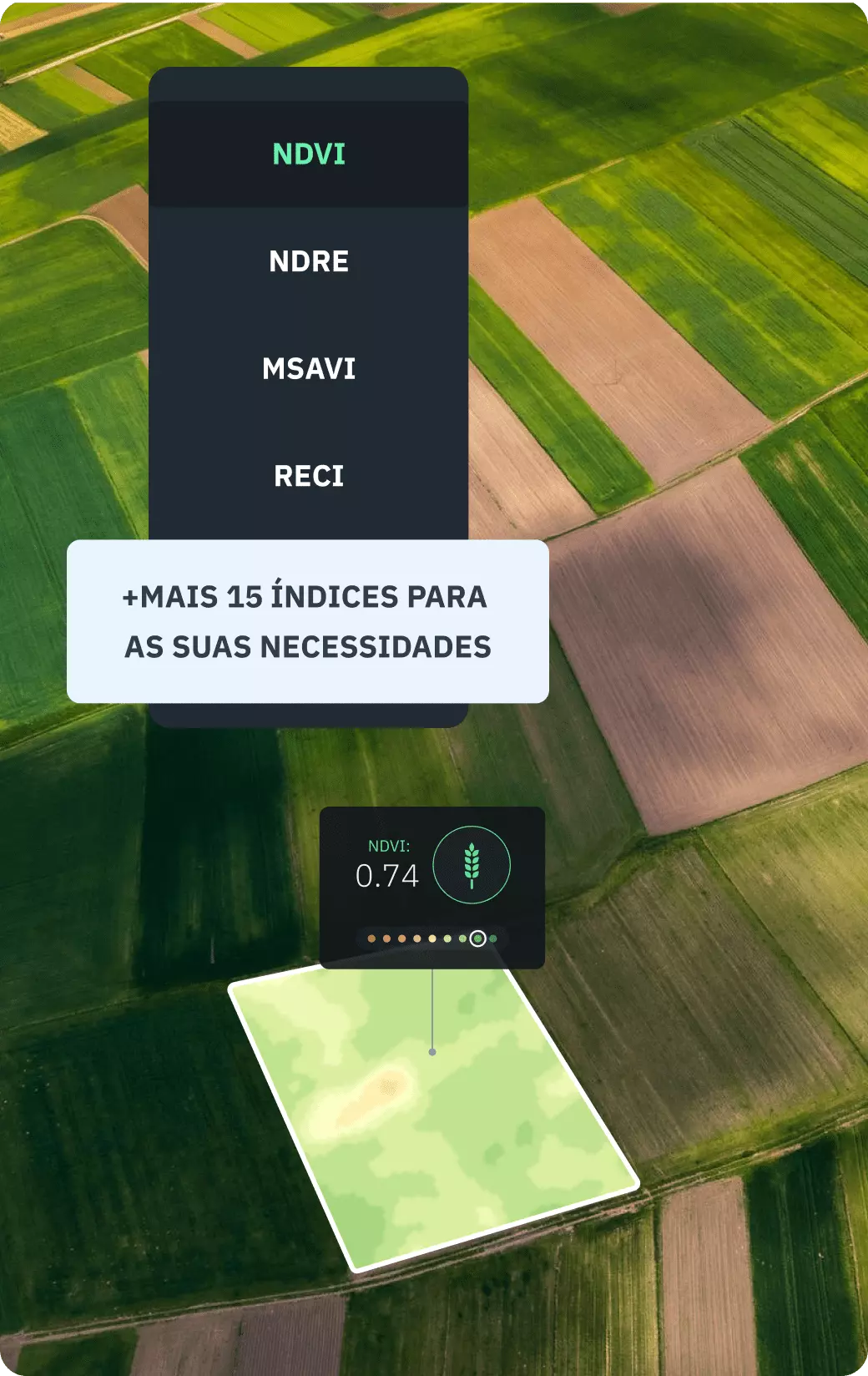 Índices de vegetação disponíveis