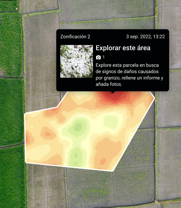 tarea de detección de daños por granizo para un explorador