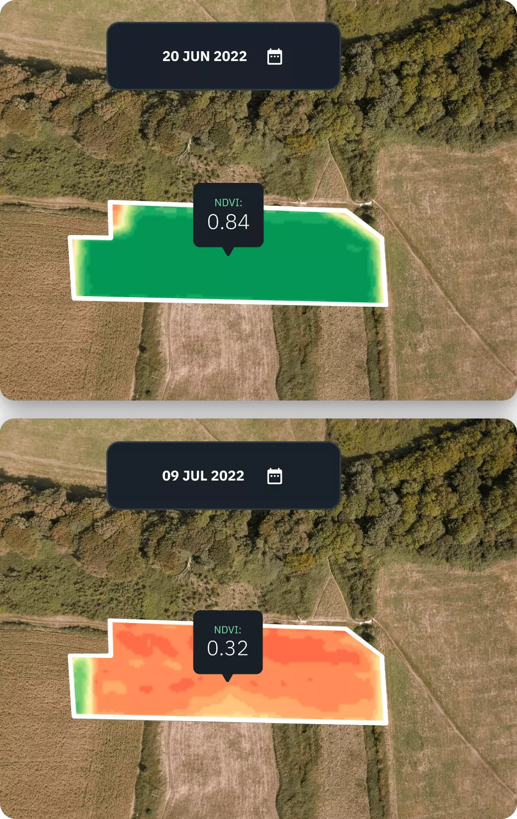 função de vista dividida