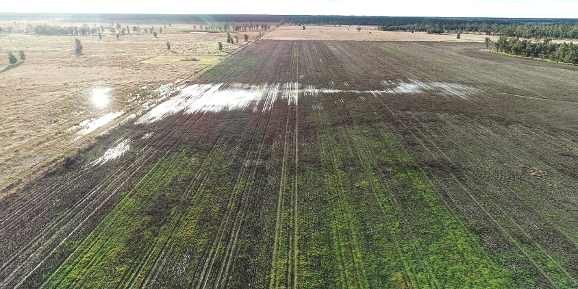 Estudo Do Impacto Da Mineração CSG Em Fazendas Australianas