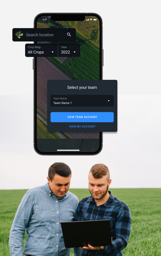 team management feature