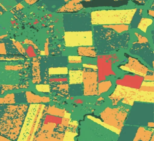 field boundaries in Ukraine